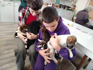 2025-12-27 hnrX7b 130647 web