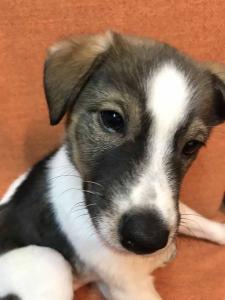 2026-01-09 iP7s-mira IMG 6193 web