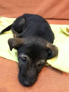 2026-01-09 iP7s-mira IMG 6203 web