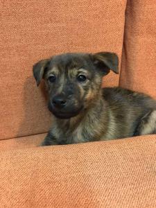 2026-01-09 iP7s-mira IMG 6221 web