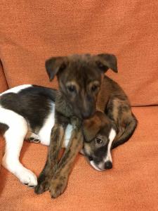 2026-01-09 iP7s-mira IMG 6227 web