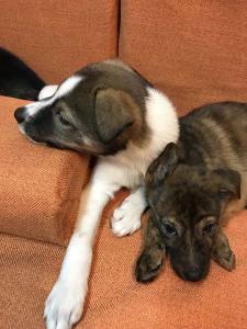 2026-01-09 iP7s-mira IMG 6233 web