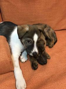 2026-01-09 iP7s-mira IMG 6235 web