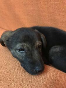 2026-01-09 iP7s-mira IMG 6237 web