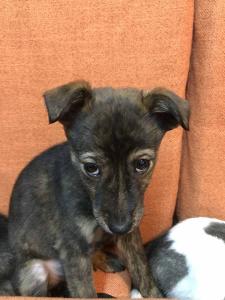 2026-01-09 iP7s-mira IMG 6245 web