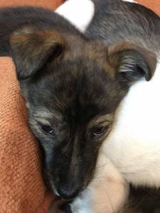 2026-01-09 iP7s-mira IMG 6251 web