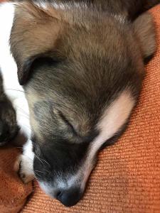 2026-01-09 iP7s-mira IMG 6252 web