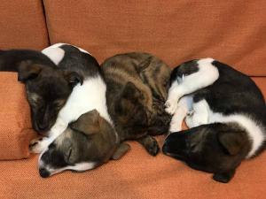 2026-01-09 iP7s-mira IMG 6255 web