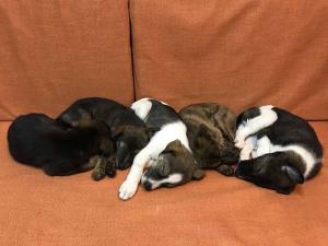 2026-01-09 iP7s-mira IMG 6258 web