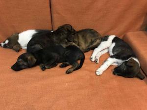 2026-01-09 iP7s-mira IMG 6262 web