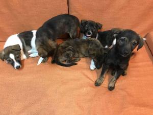 2026-01-09 iP7s-mira IMG 6264 web