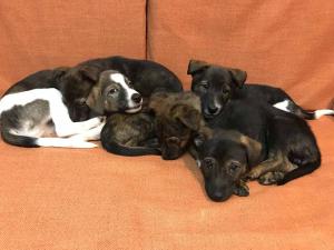 2026-01-09 iP7s-mira IMG 6267 web