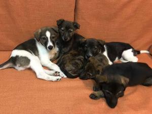 2026-01-09 iP7s-mira IMG 6269 web