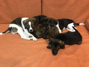 2026-01-09 iP7s-mira IMG 6272 web