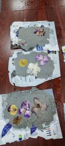 viber image 2026-01-12 19-38-53-422 web