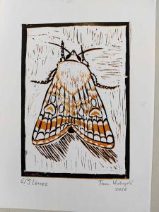 2026-01-16 hnrX7b 133443 web