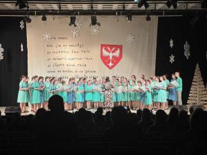 viber image 2026-01-31 12-48-22-871 web