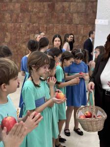 viber image 2026-02-04 10-48-28-974 web