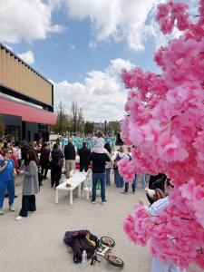 viber image 2026-04-05 18-23-18-246 web