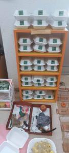 viber image 2026-04-06 16-39-31-176 web