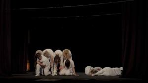 viber image 2026-04-08 11-33-46-738 web