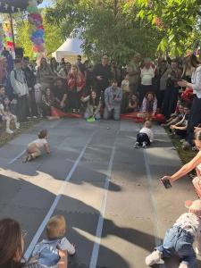 04 viber image 2026-04-18 20-43-55-130 web