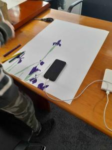 viber image 2026-04-20 17-28-10-302 web