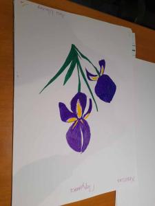 viber image 2026-04-20 17-28-13-337 web