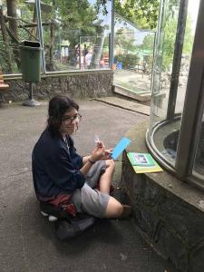 2026-06-21 iP7-mira IMG 6759 web