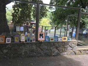 2026-06-21 iP7-mira IMG 6768 web