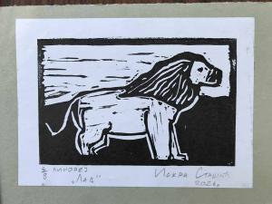 2026-06-21 iP7-mira IMG 6857 web