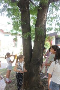 IMG 5471