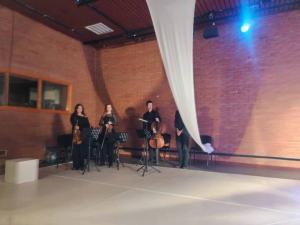 IMG-d1ad14c3f3559546b75b5a2fe174f9c6-V web